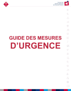 Mesures-durgence-235x300.png